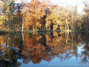 Herbstwald Schloss Raesfeld