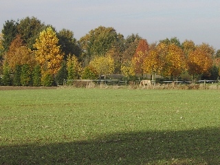 Indian Summer in Erle