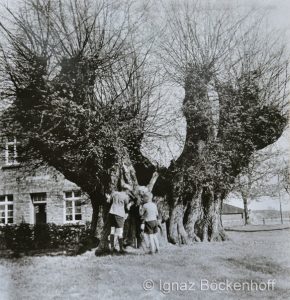Foto von Ignaz Boeckenhoff, 1953