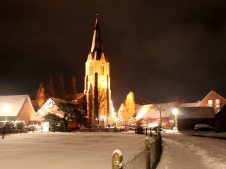 Erle im Schnee
